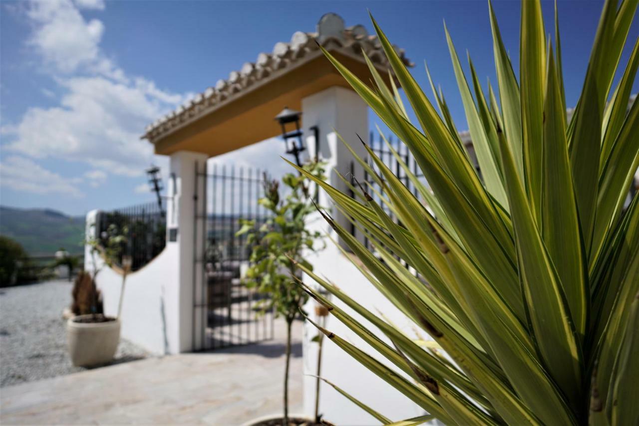 Bed and Breakfast El Amparo à Alhama de Granada Extérieur photo